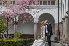 willycastellanos-04095