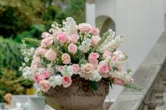 0-_willycastellanos-0333