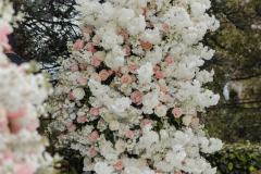 0-_willycastellanos-0364